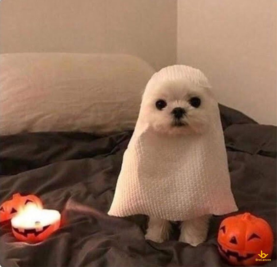 Chú Chó Hóa Trang Ngày Halloween