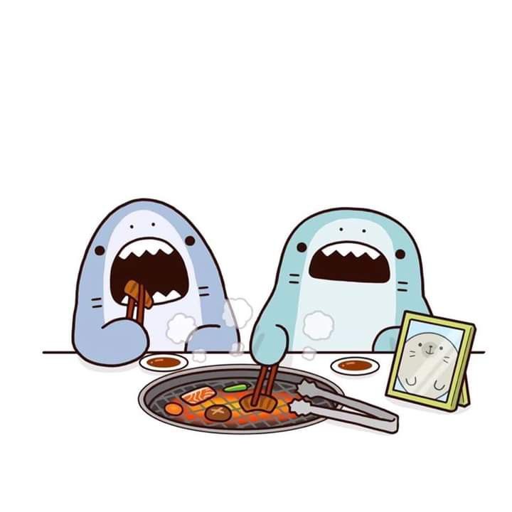 hình nền cá mập cute mobile