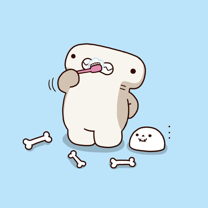 hình cá mập hài