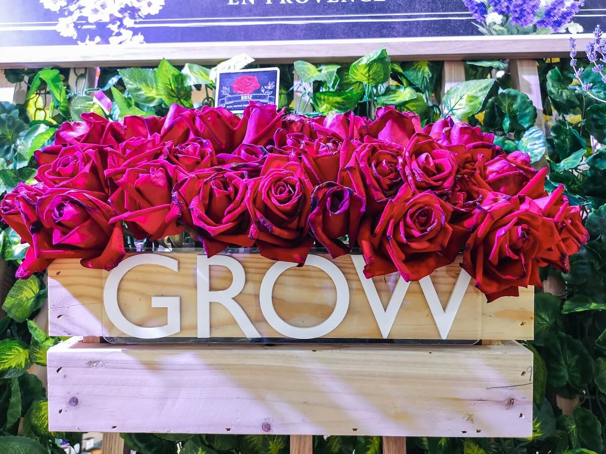 Ảnh Lãng hoa hồng rực rỡ