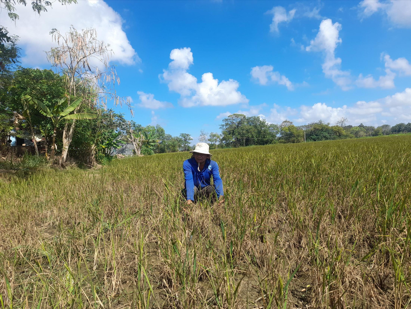 Thứ trưởng Bộ NN&amp;PTNT Nguyễn Hoàng Hiệp. Ảnh: Trọng Quân