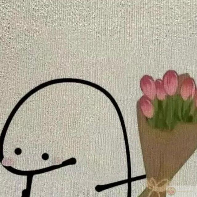 Meme tặng hoa tulip