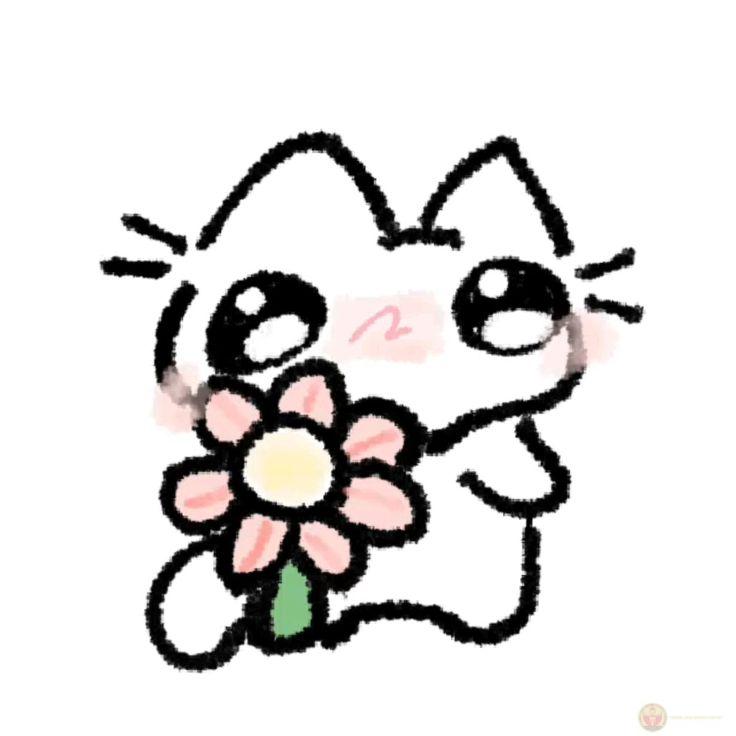 Bộ ảnh chế mèo tặng hoa hài hước khiến ai xem cũng phải lưu lại ngay lập tức