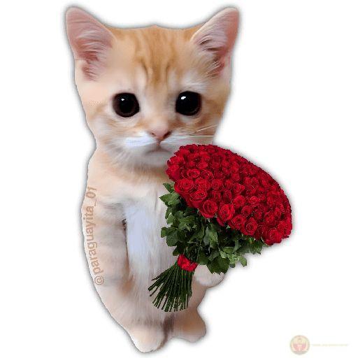 Bộ ảnh mèo ngốc nghếch ôm hoa khiến cư dân mạng cười nghiêng ngả không ngớt