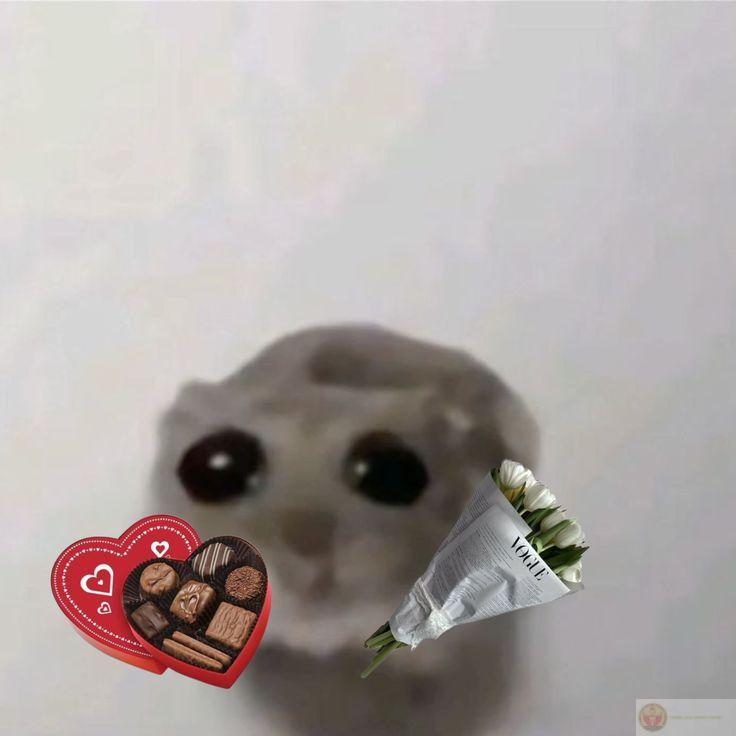 Bộ ảnh chế tặng quà dễ thương giúp truyền tải năng lượng tích cực trong group chat