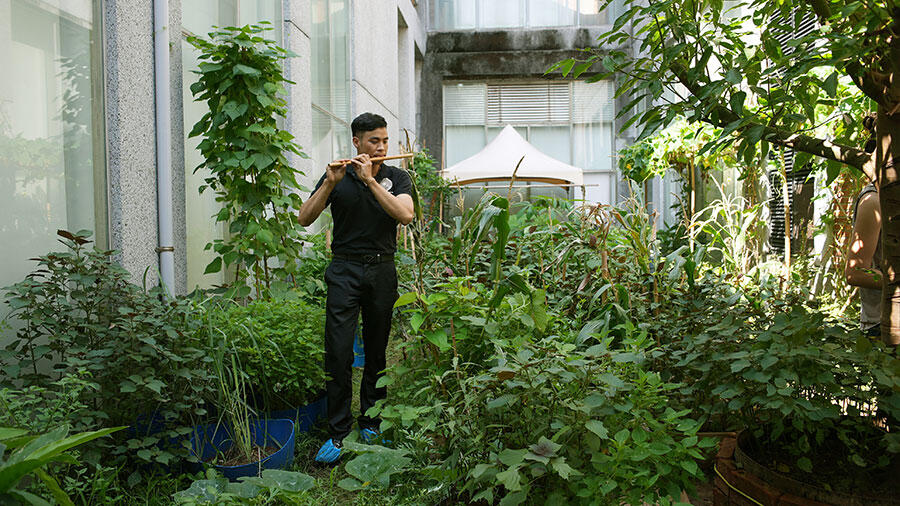 tuan-mami-vietnamese-immigrating-garden-no6-documentation