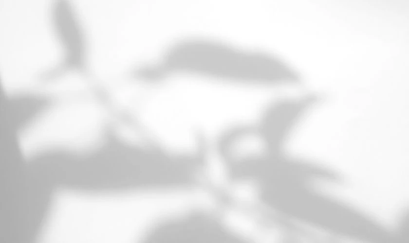 Hình nền trắng trơn cho máy tính đẹp sang