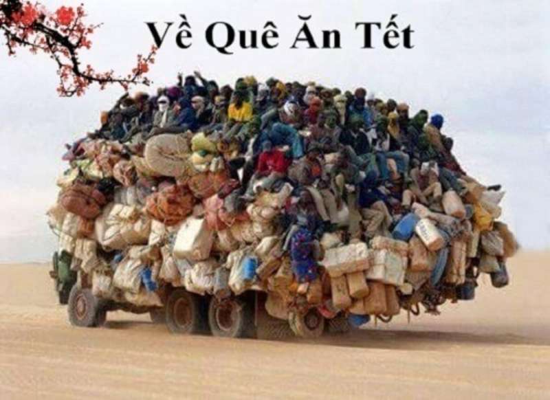 Tết vui không thể thiếu tóc đẹp