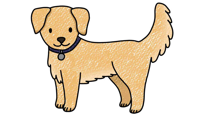 Hướng dẫn cách vẽ con chó dễ thương, đơn giản, ai cũng thực hiện được