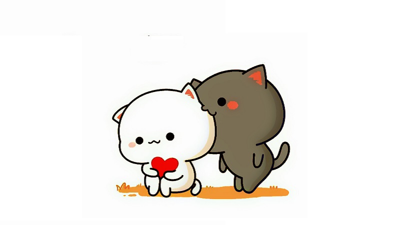 Avatar mèo anime dành cho nam