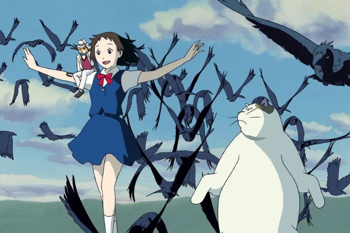 Avatar mèo anime dành cho nữ