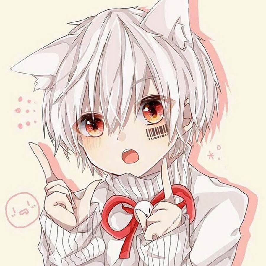 Ảnh mèo anime cute