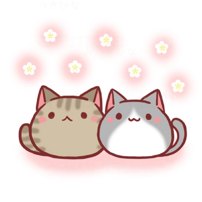 Ảnh mèo anime đẹp