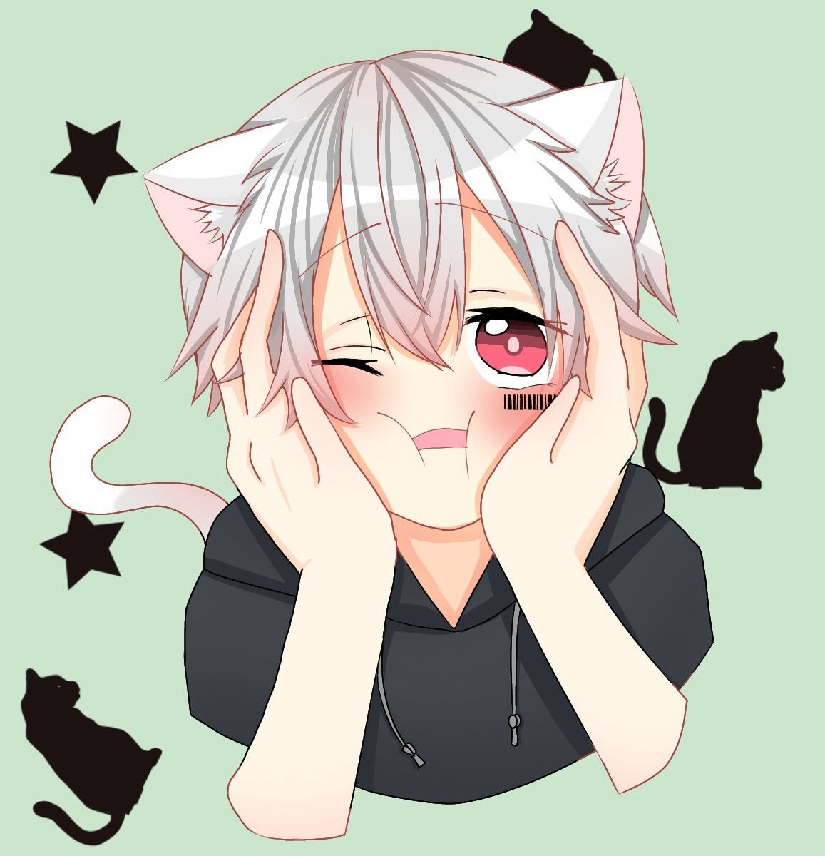 Ảnh mèo anime nam lạnh lùng