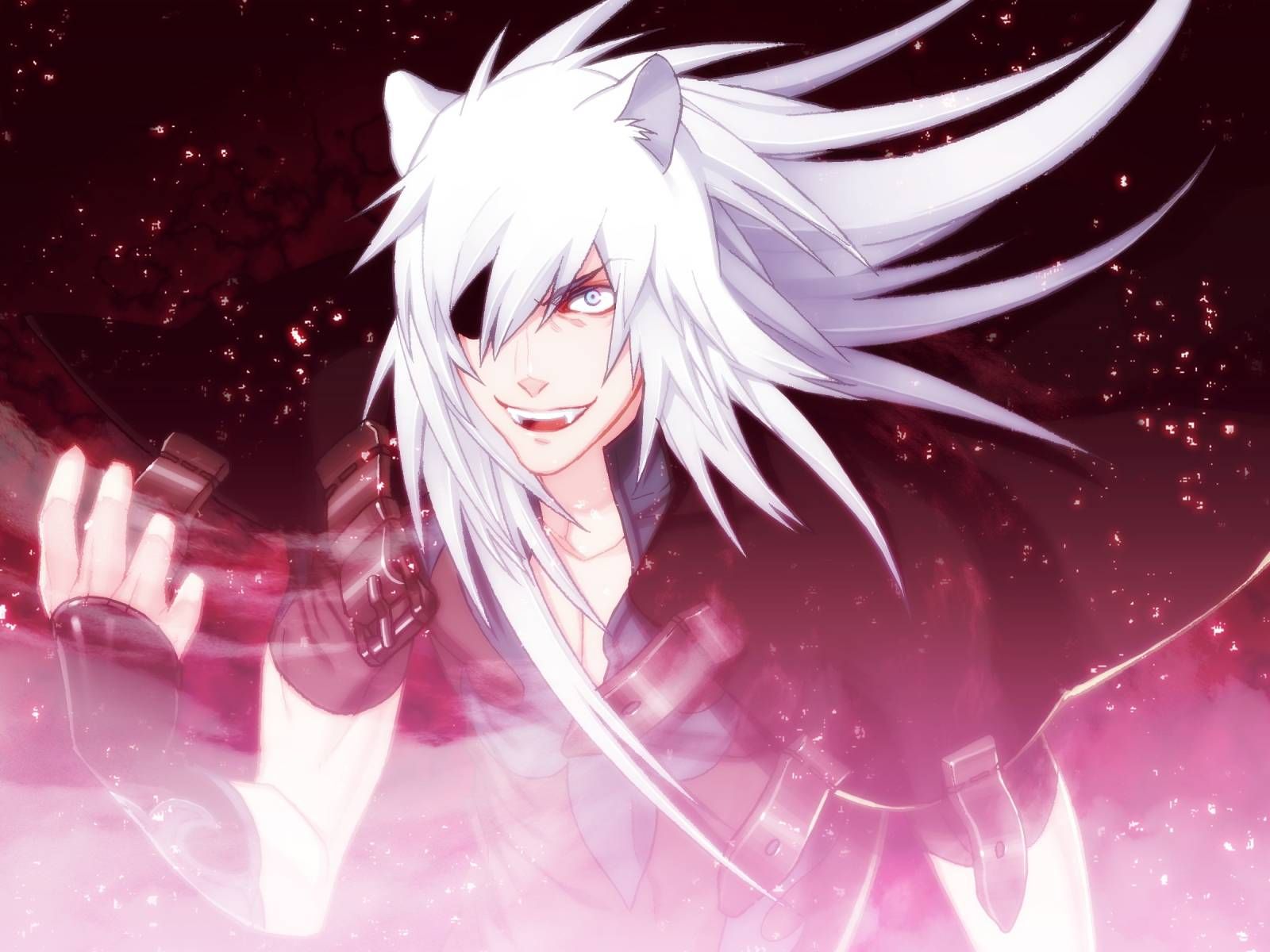 Ảnh mèo anime ngầu cho nam