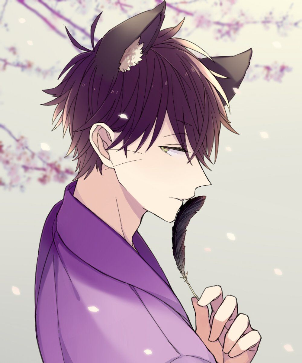 Anime mèo nam cực chất