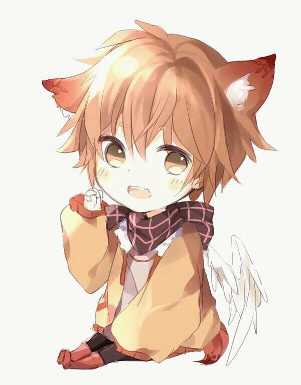 Anime mèo nam ngầu HD