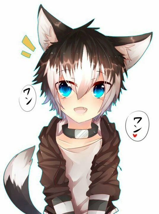 Hình ảnh mèo catboy anime