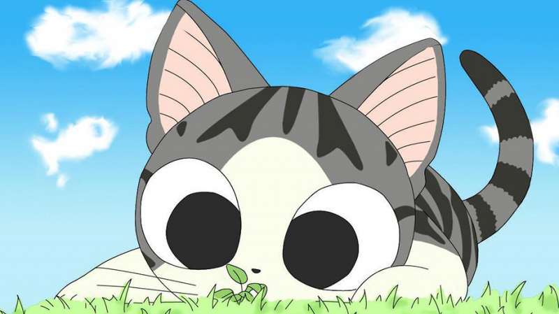 Avatar mèo anime kawaii