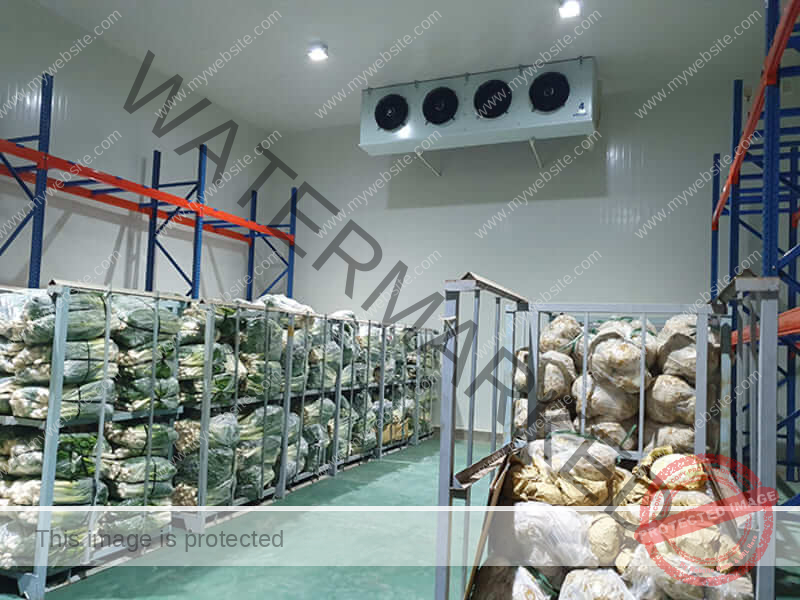 Kho lạnh bảo quản thực phẩm là gì? Tiêu chuẩn đánh giá