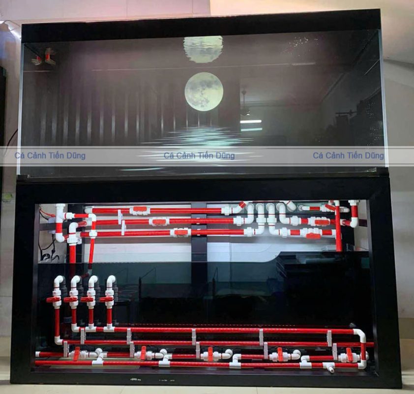 BỂ CÔNG NGHỆ MỚI