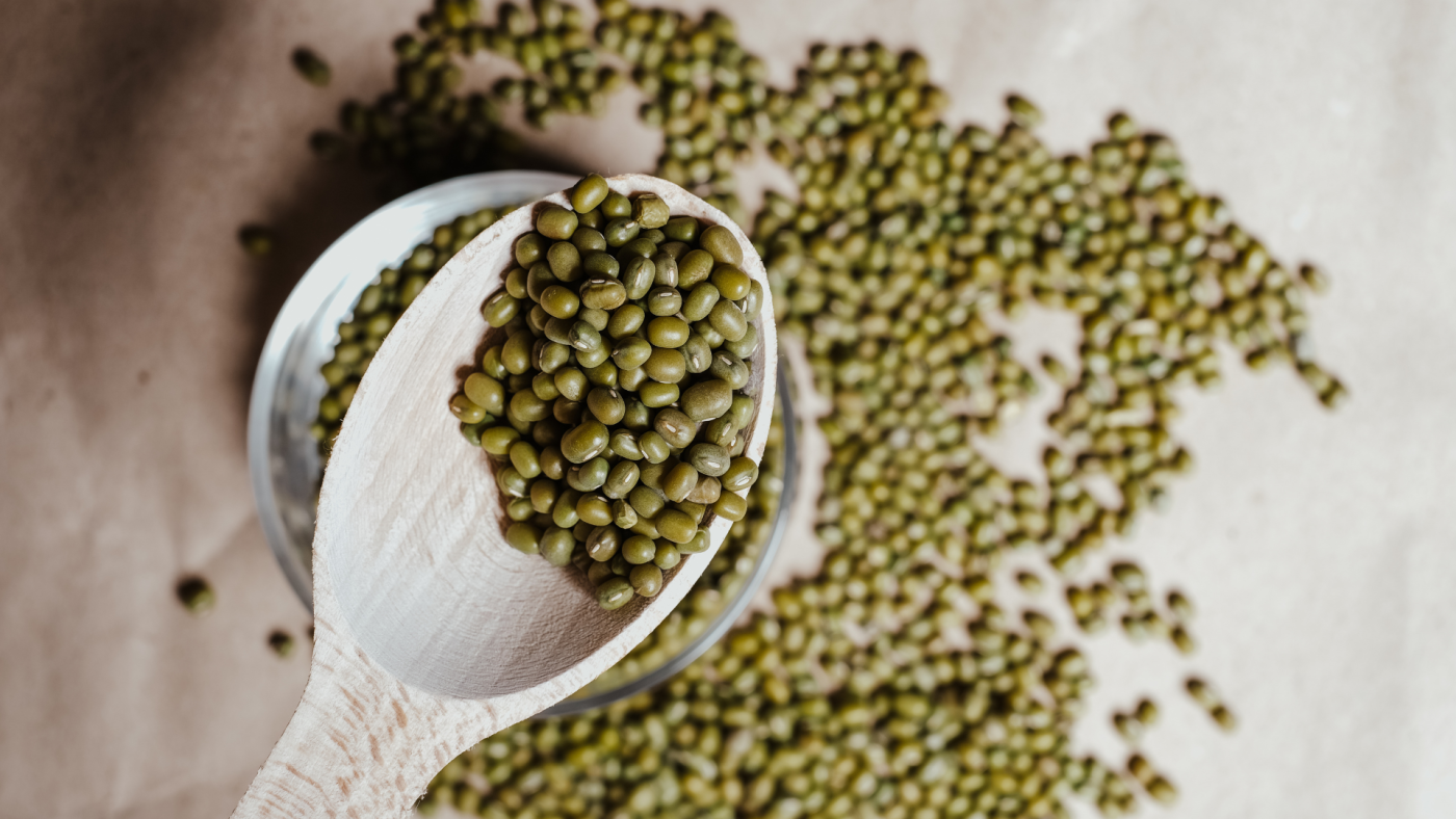 Bị chó cắn ăn đậu xanh được không? Một số thực phẩm cần kiêng khi bị chó cắn