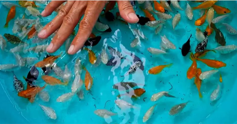 Kiểm tra sức khỏe thường xuyên