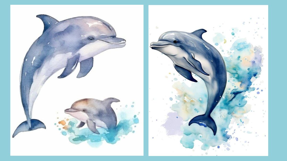 Tranh vẽ cá heo đẹp đơn giản được yêu thích nhất