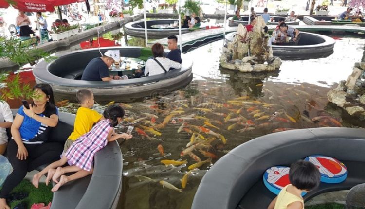 Điểm danh các quán cafe cá Koi cực chill, thư giãn ở Sài Gòn