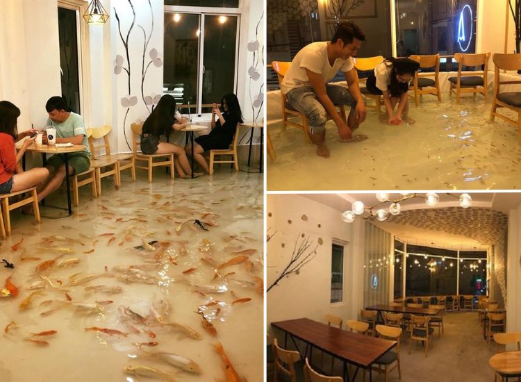 Điểm danh các quán cafe cá Koi cực chill, thư giãn ở Sài Gòn