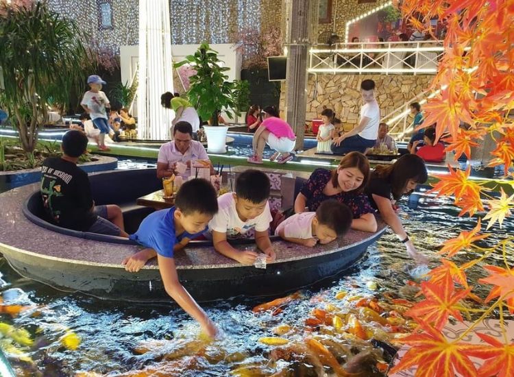 Điểm danh các quán cafe cá Koi cực chill, thư giãn ở Sài Gòn