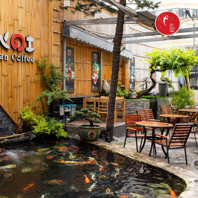 Điểm danh các quán cafe cá Koi cực chill, thư giãn ở Sài Gòn
