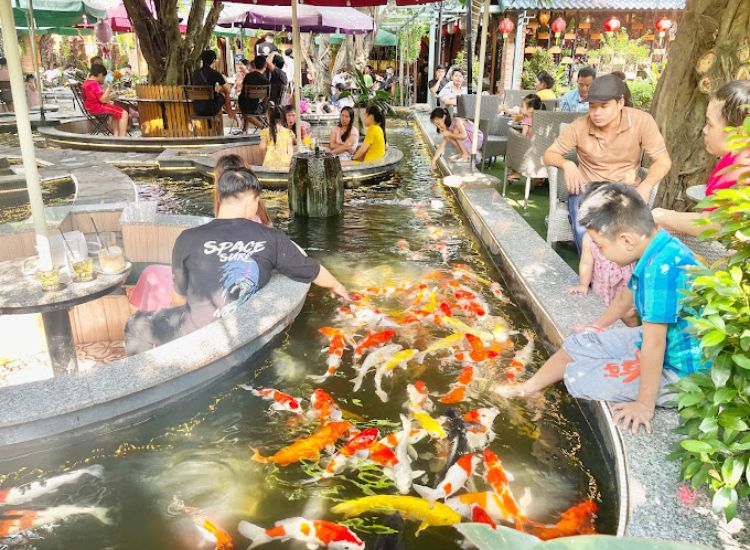 Điểm danh các quán cafe cá Koi cực chill, thư giãn ở Sài Gòn