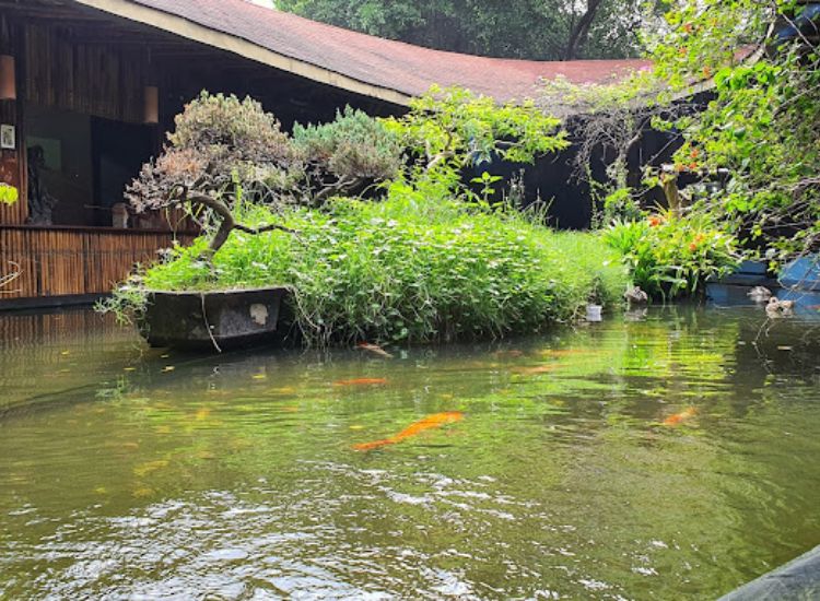 Điểm danh các quán cafe cá Koi cực chill, thư giãn ở Sài Gòn