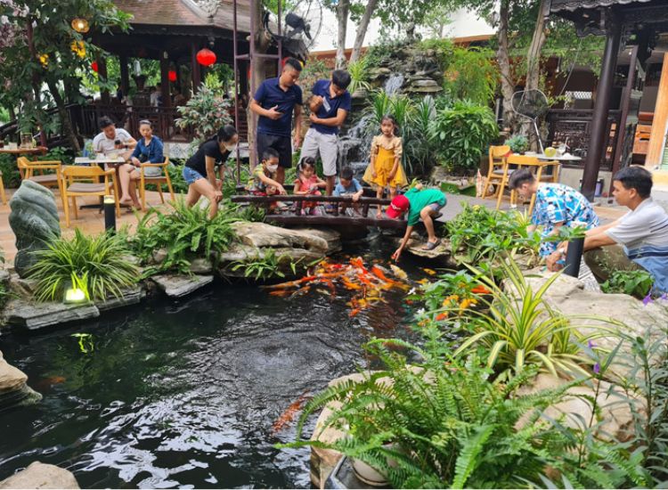 Điểm danh các quán cafe cá Koi cực chill, thư giãn ở Sài Gòn