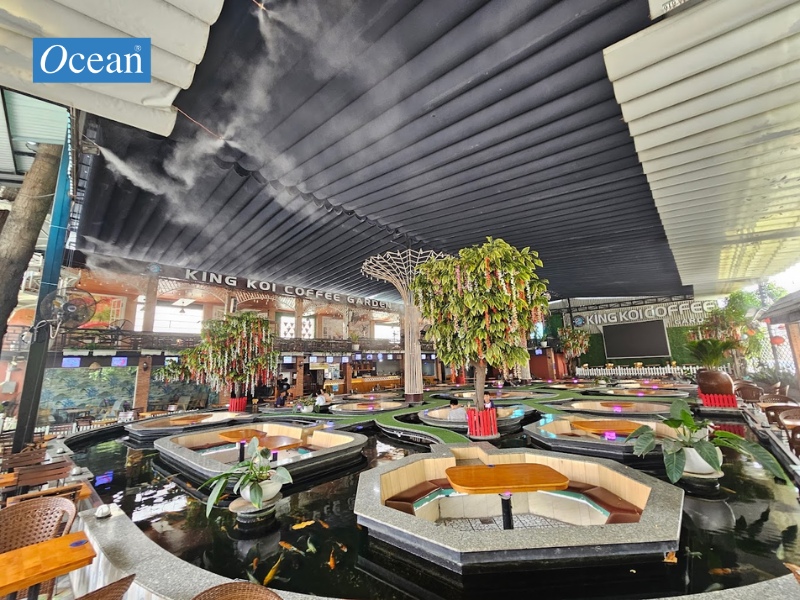 Khám Phá Top 15+ Quán Cà Phê Cá Koi Tại TPHCM Nổi Bật Đáng Trải Nghiệm