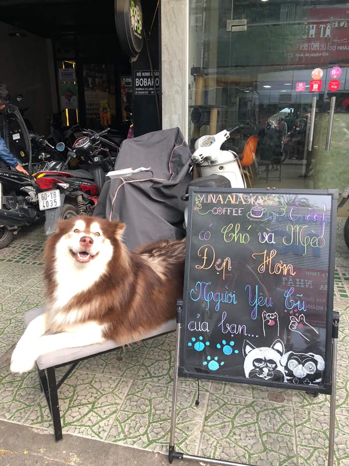 Ai rảnh thì đến đây chơi với boss đi nào