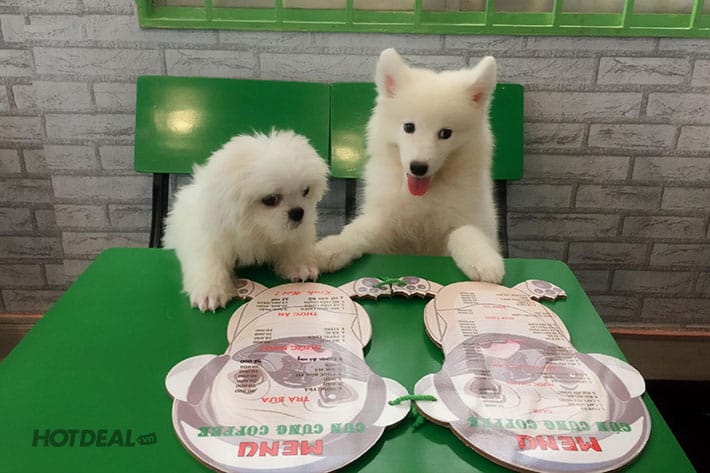 Hai anh em đang chọn menu nè!