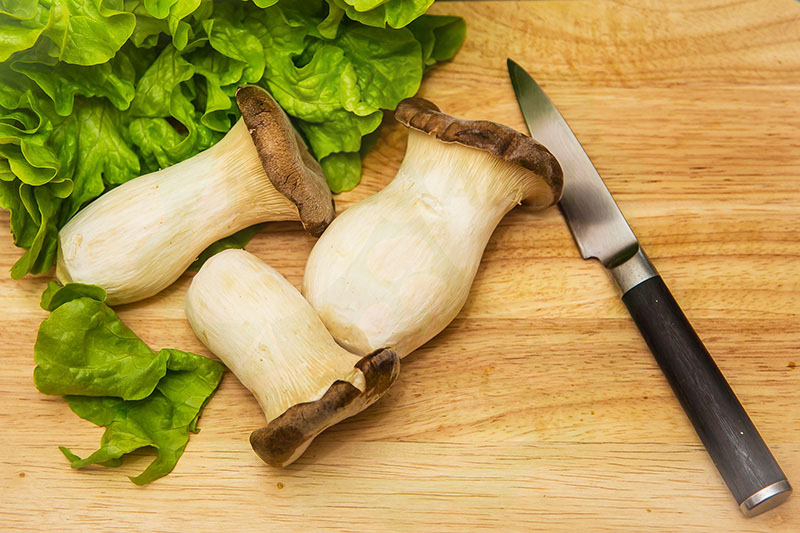 nấm đùi gà ăn lẩu