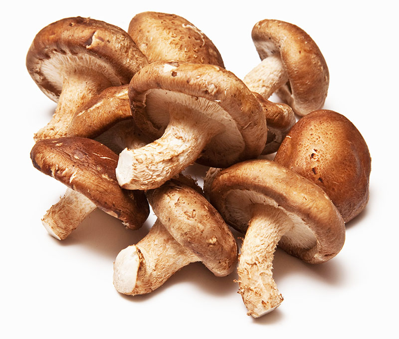 nấm hương, nấm đông cô