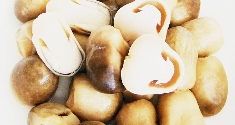 Nấm Rơm là một trong những loại nấm ăn lẩu cực kỳ ngon