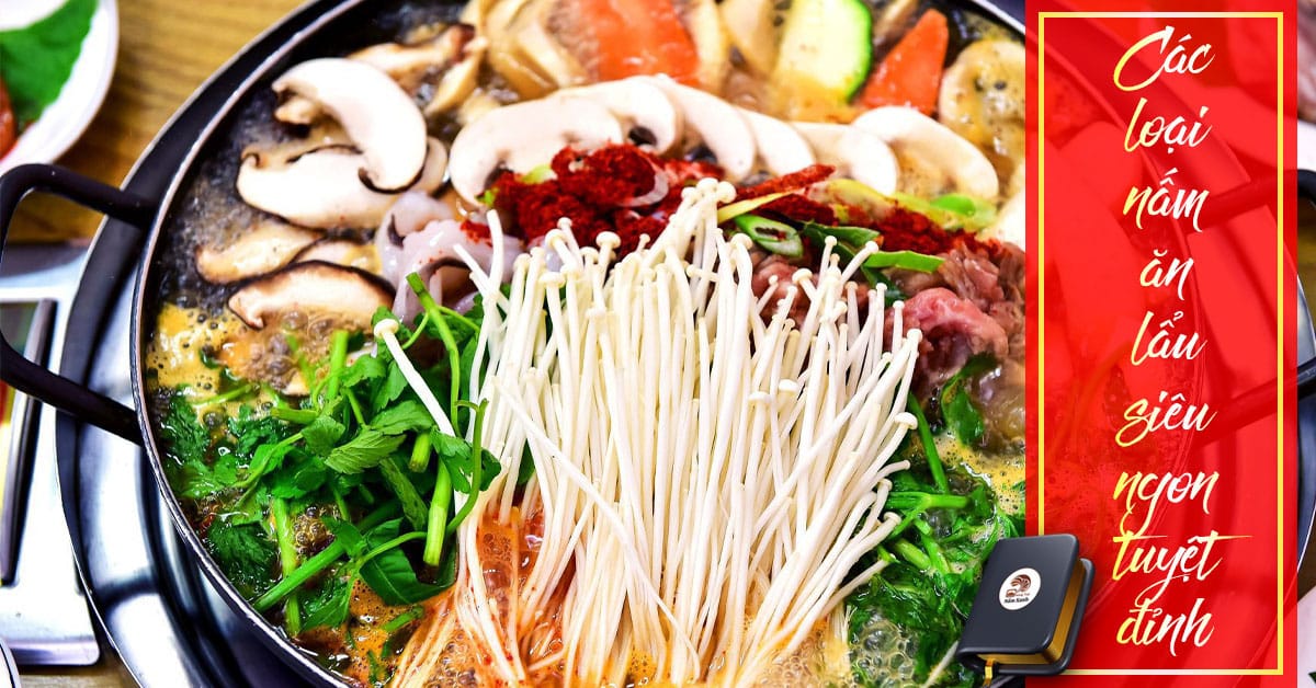 11 loại nấm ăn lẩu vừa ngon lại dễ tìm dễ mua mà giá thì cực rẻ