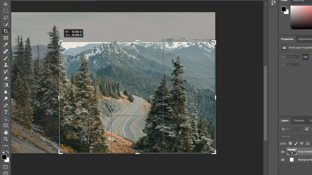 Những công cụ sử dụng nhiều nhất trong photoshop