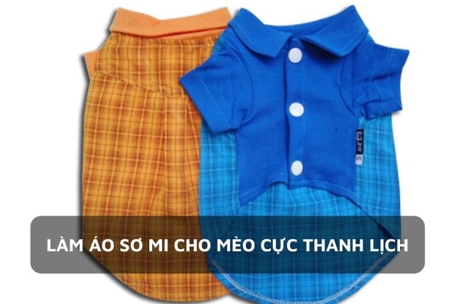 Chiếc áo sơ mi cho mèo cưng