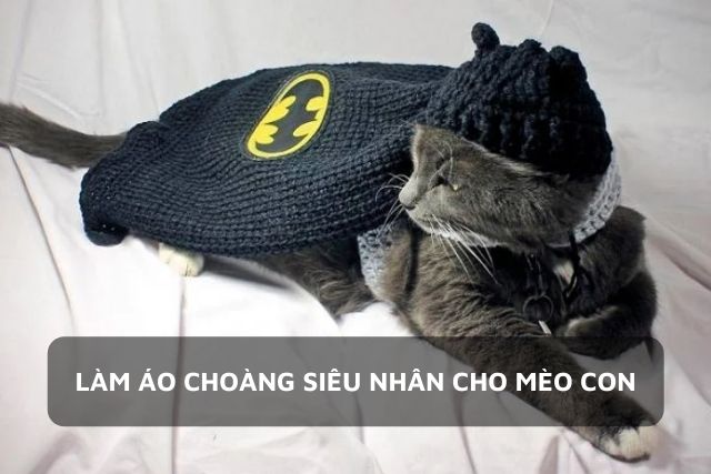 Trở thành bé mèo siêu nhân cực đơn giản