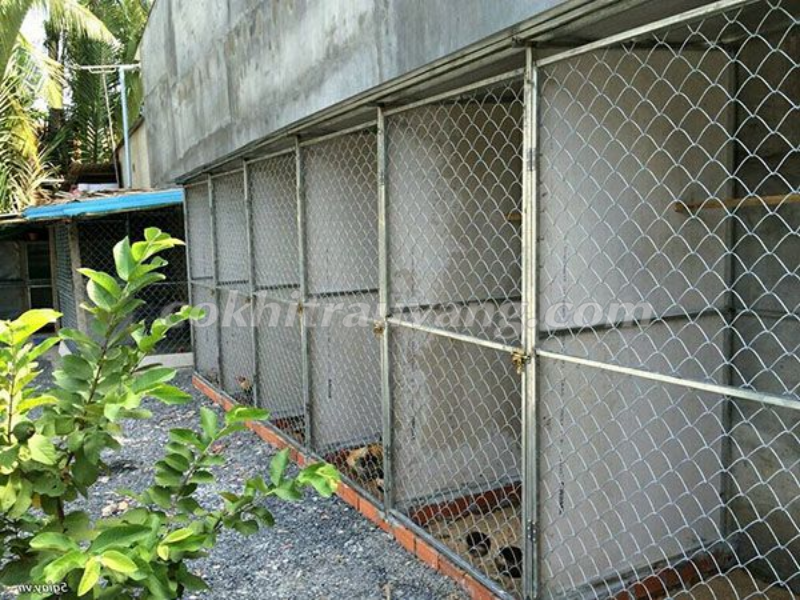 Làm chuồng gà diện tích nhỏ với lưới thép
