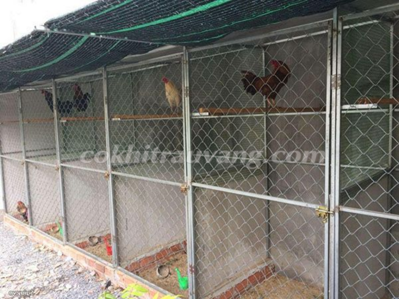 Cách làm chuồng gà diện tích nhỏ