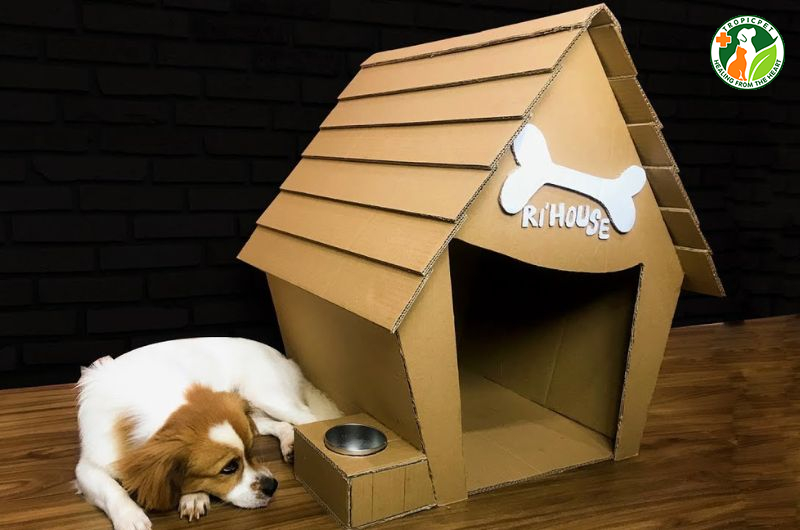 Làm nhà cho chó