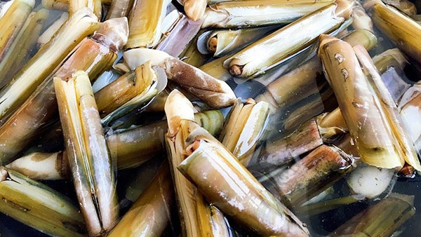 Cách Chế Biến Ốc Móng Tay, Các Món Ngon Từ Ốc Móng Tay