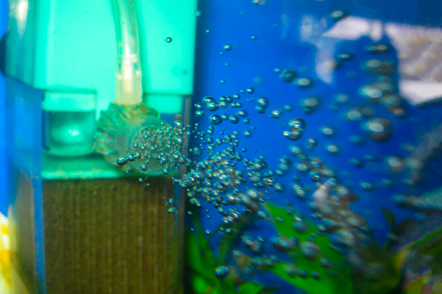 Cách tạo Oxy cho cá bằng máy bơm không khí chạy bằng pin đơn giản, hiệu quả